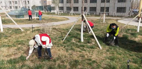 東城街道馬家坪社區(qū) “雙報(bào)到”黨員先鋒行，攜手共建美麗家園